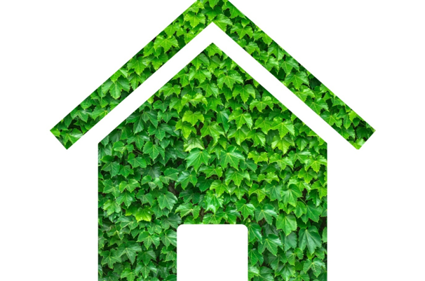 green energy homes